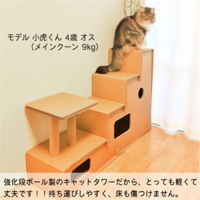 ふるさと納税 伊万里市 段ボール　キャットタワー【ペット遊具】