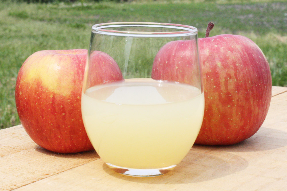 りんごジュース ストレート果汁【林檎園】1000ml×15本 紙パック ゴールド農園 かめあし商店