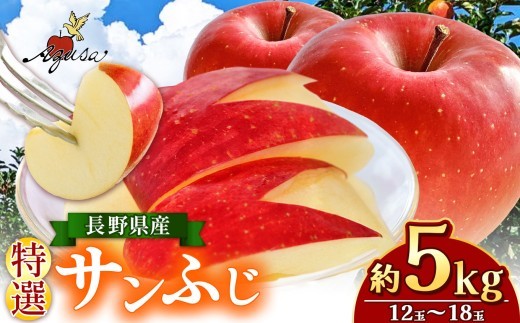 
                  【先行受付：11月中旬頃～発送】サンふじ特選 5kg(12～18玉) ｜ ふるさと納税 松本市 サンふじ 果物 フルーツ 信州 美味しい 特選
                
