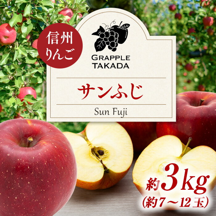 【ふるさと納税】信州りんご サンふじ3kg ※オンライン決済限定 りんご リンゴ 林檎 長野 フルーツ 果物 信州産 長野県産 特産 産地直送 おすすめ 　お届け：2025年11月中旬～12月上旬