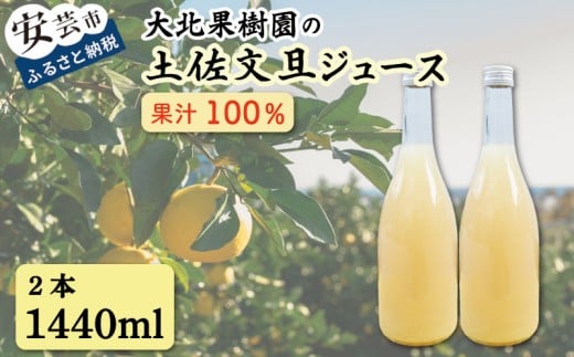 文旦 ジュース 2本 1440ml 果汁 100％ 柑橘 みかん ぶんたん 土佐文旦 高知県 国産 ストレート ギフト 贈答用 高知特産 フルーツジュース 文旦ジュース みかんジュース 濃厚 香り 甘味 苦み 農家直送 瓶詰め 酒 割り材 文旦 サワー 南国 安芸市 高知県