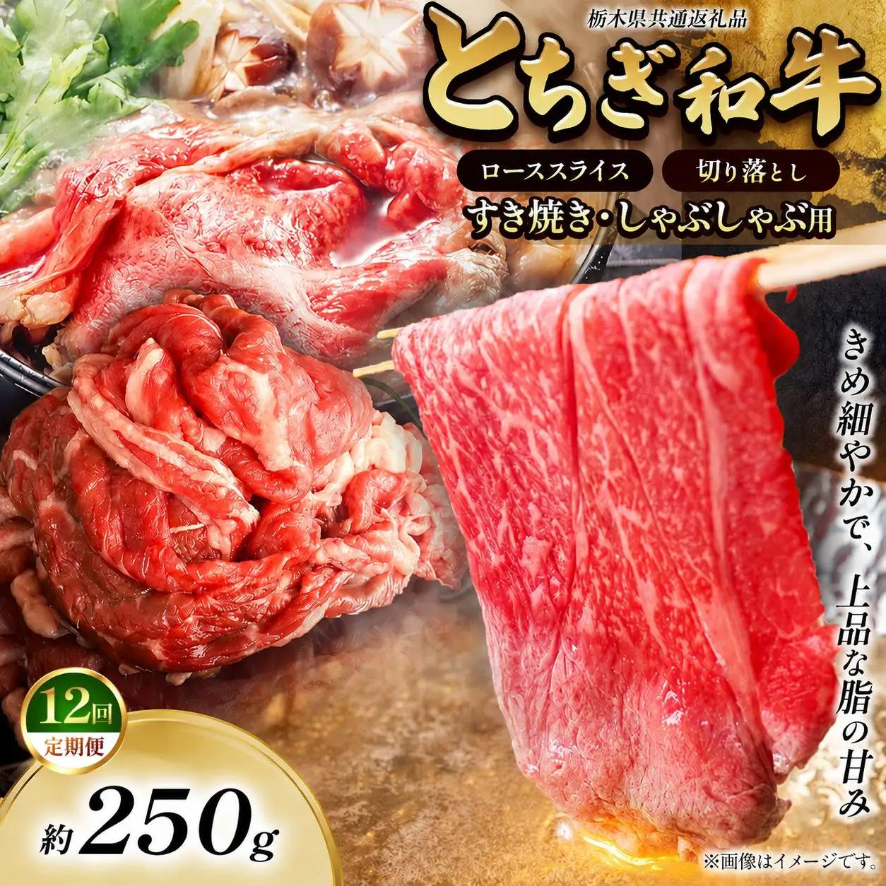 【定期便12回】とちぎ和牛 すき焼き・しゃぶしゃぶ用 切り落とし 250g 