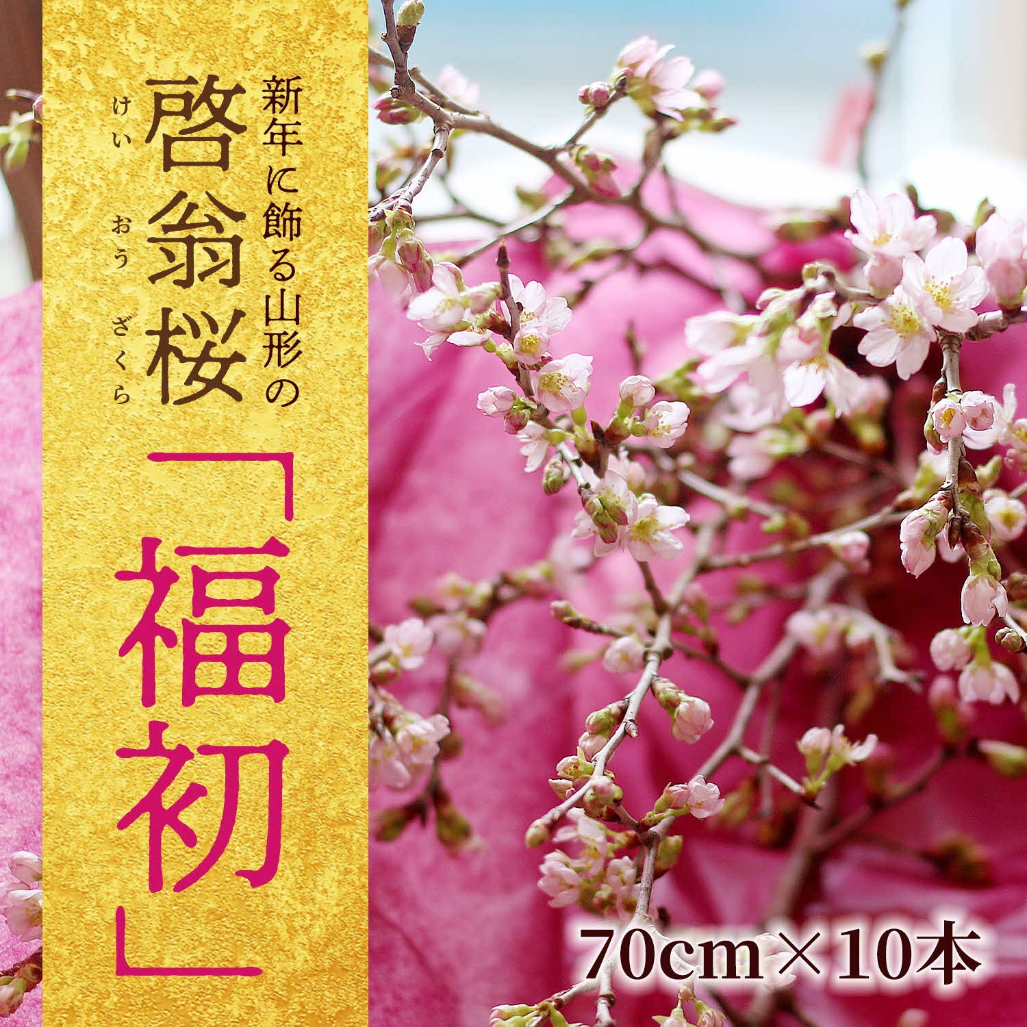 
            新年に飾る山形の桜 「福初2026」 酒田市の高橋さんの啓翁桜 70cm SL0266
          