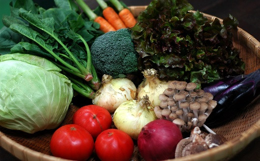 AG-32.【大和高原地域で栽培】とれとれ旬の野菜の詰め合わせ