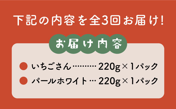 【先行予約】【3回定期便】食べ比べ！いちごさん＆パールホワイト 詰め合わせ定期便 各品種220g（計440g以上）/回【かわさきいちご】 [IBG013]