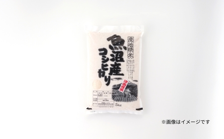 【12ヶ月定期便】令和7年産魚沼（津南）産コシヒカリ 3kg（3kg×1袋）(有)フジミヤ |津南町 魚沼産コシヒカリ