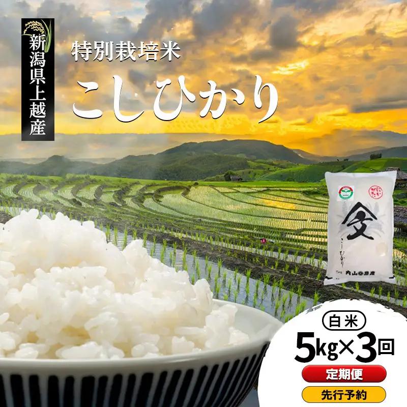 【先行予約・定期便】コシヒカリ 白米 上越産 5kg×3回 コシヒカリ