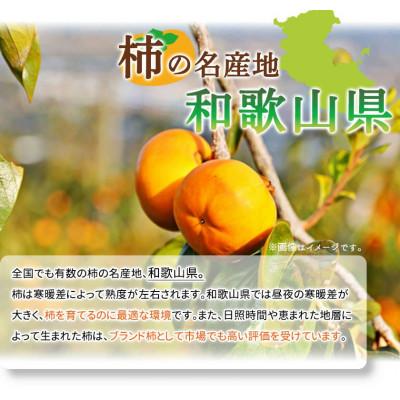 ふるさと納税 印南町 【2026年発送】【ご家庭用わけあり】和歌山秋の味覚　富有柿　約3.5kg |  | 01