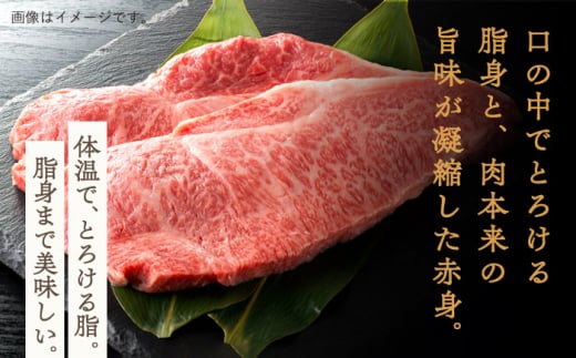 【数量限定】【川棚町で育った】長崎和牛 焼肉・鉄板焼用 スライス 約500g【川下精肉店】 [OAA014] / 牛肉 冷凍 鉄板焼 長崎県産 和牛 国産牛 焼肉 BBQ にく 肉 すらいす やきにく