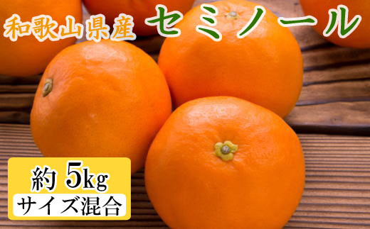 
和歌山県産セミノールオレンジ約5kg（サイズ混合 秀品）※着日指定不可※2024年4月上旬～下旬頃に順次発送予定
