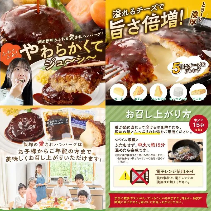 かねふく辛子明太子&デミソースのハンバーグ2種セット【毎月定期便(計12回発送)】【K03-001】