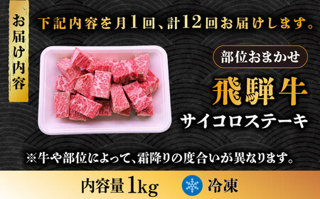 【12回定期便】 飛騨牛 サイコロステーキ 部位おまかせ 1kg A4等級以上  多治見市 / 渡辺精肉店 和牛 ブランド牛 牛肉[TAZ045]