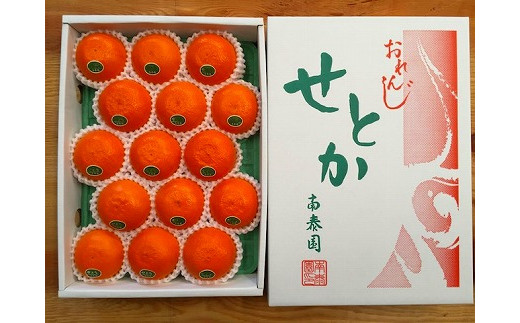 
                  化粧箱 柑橘の大トロ ハウス せとか 厳選 15玉入
                