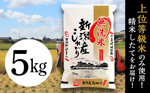 31-M51【無洗米】新潟県産コシヒカリ5kg