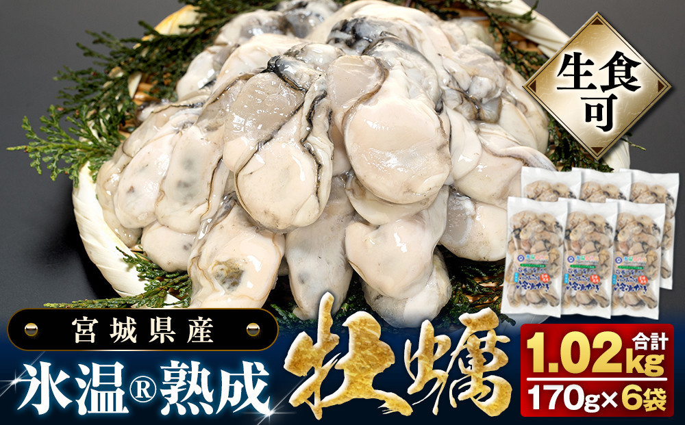 
            【 先行予約 】 生食用 牡蠣 宮城県産 氷温熟成 （冷凍）170g×6袋 約1kg / 小分け 冷凍 バラバラ冷凍  かき 牡蠣 2025年3月中旬から順次発送予定
          