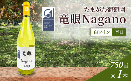 ワイン　竜眼Nagano　【GI長野】認定 長野市 白ワイン