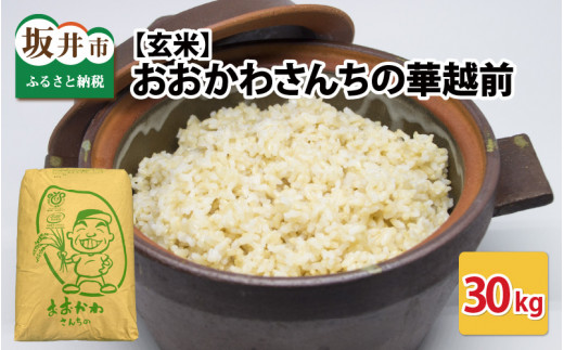 数量限定 おおかわさんちの華越前 玄米 30kg (なくなり次第終了)【令和7年産】【お米 こめ ハナエチゼン 30キロ ご飯 ごはん 美味しい ふるさと納税米】 [D-10805]