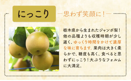 N06 梨 なし にっこり梨 10kg 矢畑むらづくり組合《9月下旬-10月中旬に出荷予定》【栃木県共通返礼品　栃木県産】【配送不可地域あり】(離島)