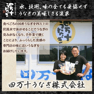 四万十うなぎ 蒲焼き 塩うなぎセット ( 110g×2尾 140g×2尾 ) うなぎ 国産鰻 土用の丑の日 ／Esu-120