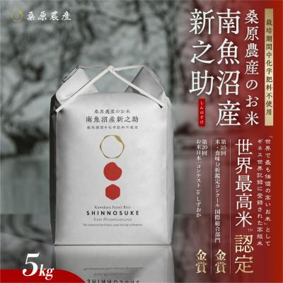 ふるさと納税 南魚沼市 R7年産　予約　ギネス世界記録「世界最高米」認定 最高級南魚沼産新之助5kg 桑原農産のお米