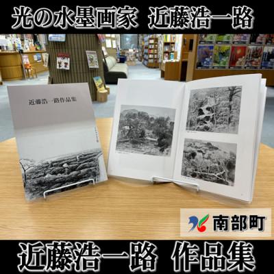ふるさと納税 南部町 南部町立美術館　常設展図録『近藤浩一路作品集』