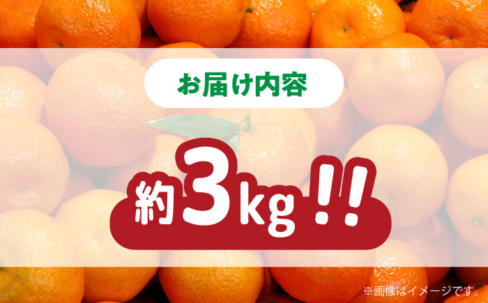 【2026年11月下旬～発送】【高糖度】訳あり 温州 みかん 約3kg（傷もの）/ 果物 フルーツ / 南島原市 / 南島原果物屋 [SCV022]