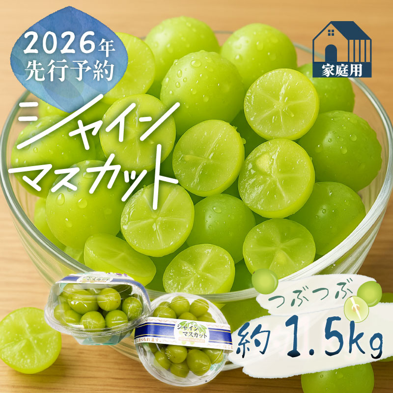 【2026年先行予約】ご家庭用つぶつぶ　シャインマスカット（約1.5kg）