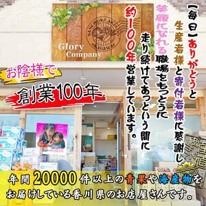 《2026年発送》香川産のもぎたて瀬戸ジャイアンツ2kg【ご家庭用】