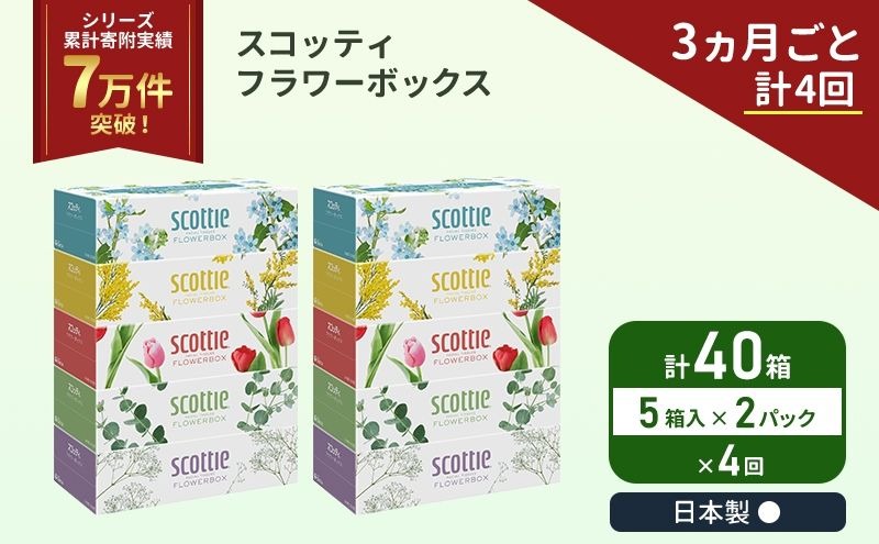 定期便 ティッシュ スコッティ フラワーボックス 40箱 ( 5箱 × 2パック )《 3ヶ月ごと 計  4 回》