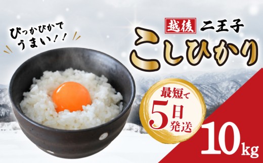 【最短5日発送】 新潟 越後 二王子こしひかり 10kg （5kg×2袋） 令和7年産 コシヒカリ 米 精米 白米 ご飯 おにぎり お弁当 新潟県産 お米 こめ おすすめ うまい 贈答 こだわり 農家 川東 農事組合法人二王子 新潟県 新発田市 新発田 ninoji002