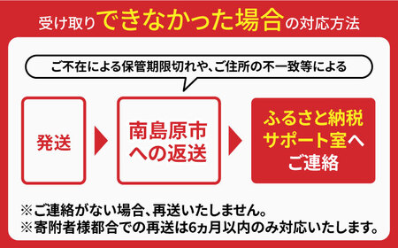 【つるっと！のどごし】島原手延そうめん　柚子豚骨スープ　3食セット　50g×6束 / 麺 乾麺 手延べ そうめん 素麺 そうめん ソーメン 南島原市 / 三和サービス株式会社[SGB005]