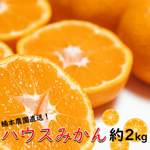 楠本農園直送！こだわりハウスみかん 2kg_1984R