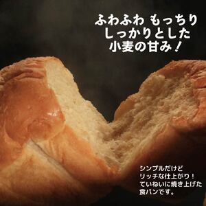 食パン 5斤 パン 天然酵母 国産 小麦 【 食パン 】