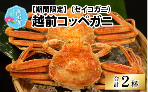 【数量・期間限定】福井県産 越前コッペガニ（セイコガニ）×2杯【急速冷凍】（プロトン凍結）｜ せいこがに セイコガニ せいこ蟹 蟹 かに カニ 越前ガニ 越前がに