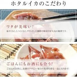 越中氷見屋　ホタルイカ沖漬け4種・甘酢漬け・素干し・魚醤干し（B1セット）　| ホタルイカ ほたるいか いか 珍味 沖漬け 醤油 柚子 味噌 辛 素干し 魚醤 甘酢 富山 富山湾 氷見 つまみ 酒の肴
