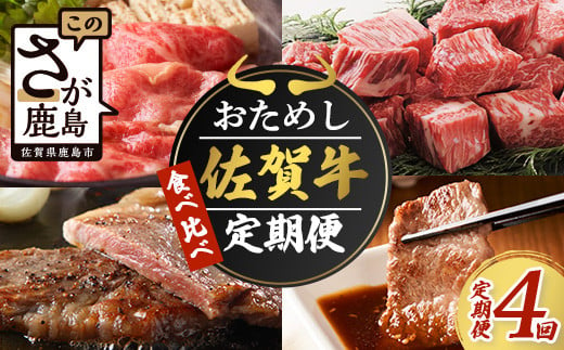 
定期便4回 佐賀牛 食べ比べ お試し定期便 4ヶ月 焼肉 焼き肉 すきやき すき焼き しゃぶしゃぶ サイコロステーキ ステーキ 冷凍 ふるさと納税 佐賀県 鹿島市 G-58
