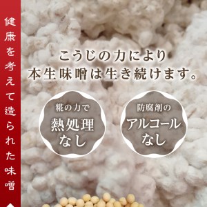 味噌 麦 手造り 職人 約800g×3袋+3年 熟成味噌 約120g (a12-238)