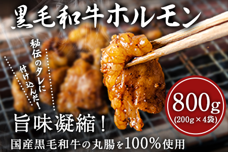 黒毛和牛 ホルモン 800g 有限会社トップルーフ 黒毛和牛