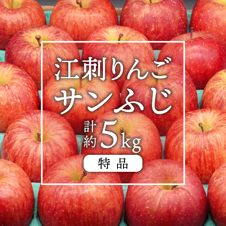江刺りんご サンふじ 5kg（14～20玉）【2025年12月上旬以降お届け】 [AQ011]