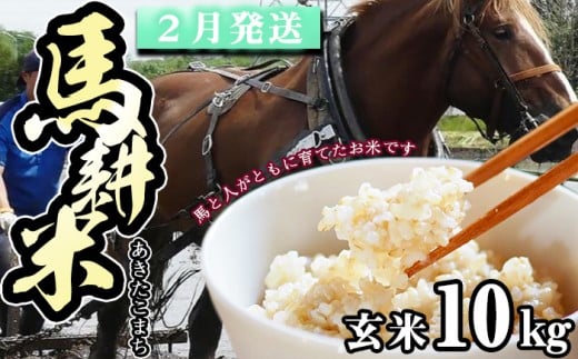 【 2026年 2月中旬より発送】 岩手県産 馬耕米 あきたこまち 玄米 10kg ／【株式会社スタディア】 お米 米 こめ コメ 馬ふん堆肥 使用 ご飯 ライス おにぎり 弁当 単一原料米 10キロ １０kg 馬耕 馬 ウマ うま 産地直送 国産 おすすめ 人気