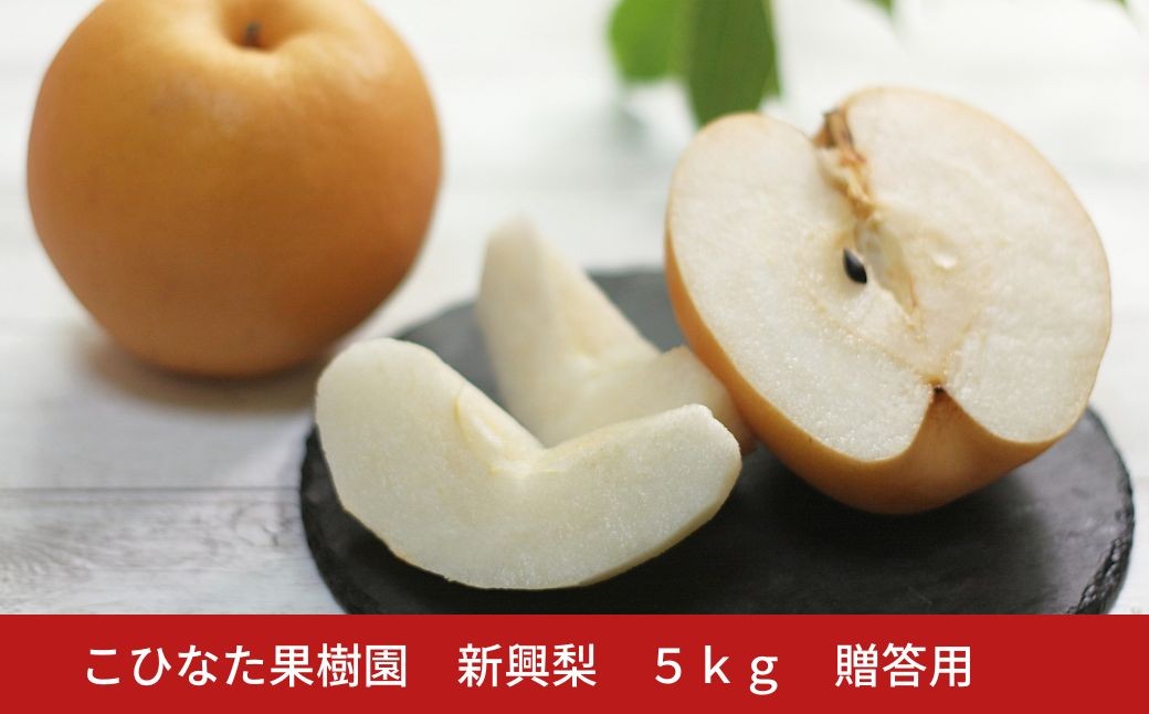 
                  先行予約 新興梨 ５㎏ [2026年発送分] 令和７年産 和梨 新潟 三条 燕三条 果物 贈答用  [こひなた果樹園] 【015S190】
                