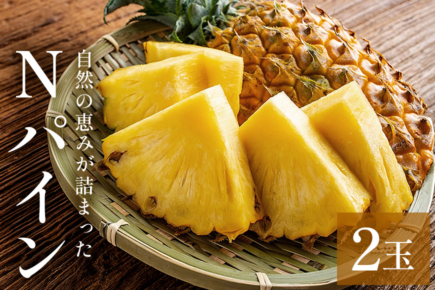 【先行予約 2026年発送】Nパイン2玉　自然の恵み詰まったパイナップル