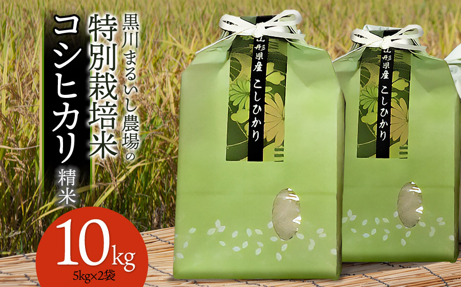 【令和7年産】【新米】 黒川まるいし農場の特別栽培米 コシヒカリ 10kg (5kg×2)　山形県鶴岡市産　K-784