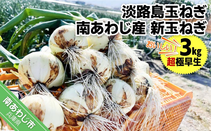 
            淡路島玉ねぎ　南あわじ産　新玉ねぎ（超極早生）３kg　期間限定！
          