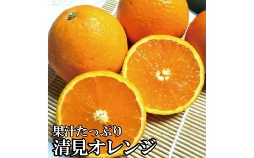 【農家直送】果汁たっぷり！清見オレンジ 約5kg  有機質肥料100%　 サイズ混合　※2026年3月上旬より順次発送予定（お届け日指定不可）【nuk112B】