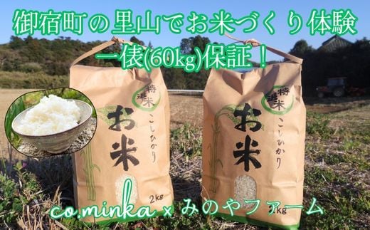 2026年度 田んぼ 区画オーナー制度（２区画）【企業・団体様向け～１作業日につき最大１１名様受け入れ可能】Ｌ７０５
