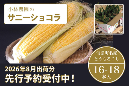 【2026年夏の予約受付開始！】 小林農園のとうもろこし（16～18本セット）　信濃町産サニーショコラ｜令和8年8月上旬からのお届け予定　生産者直送 2026年夏出荷分 先行予約【長野県信濃町ふるさと納税】