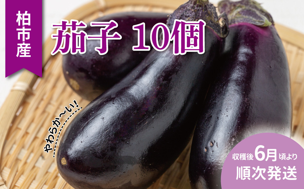 
            柏市産 やわらか茄子 10個 〈先行予約 2026年6月順次発送〉 〈 なす ナス  野菜 セット 国産 千葉県産 おいしい 美味しい 新鮮 旬 産地直送 おすすめ 夏野菜 煮物 揚げ物 浅漬け 大量 予約 〉
          