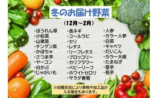 この中から7品以上発送します。※収穫状況によって果物が入る場合があります