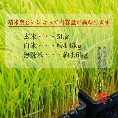 ふるさと納税 加西市 無洗米 【令和7年産】 キヌヒカリ 約9.2kg [ 無洗米 ] 精米 [No5698-7829] |  | 02